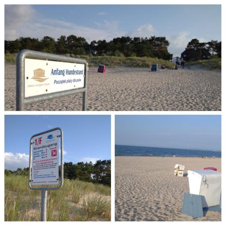 Zander 2 Ostseebad Heringsdorf